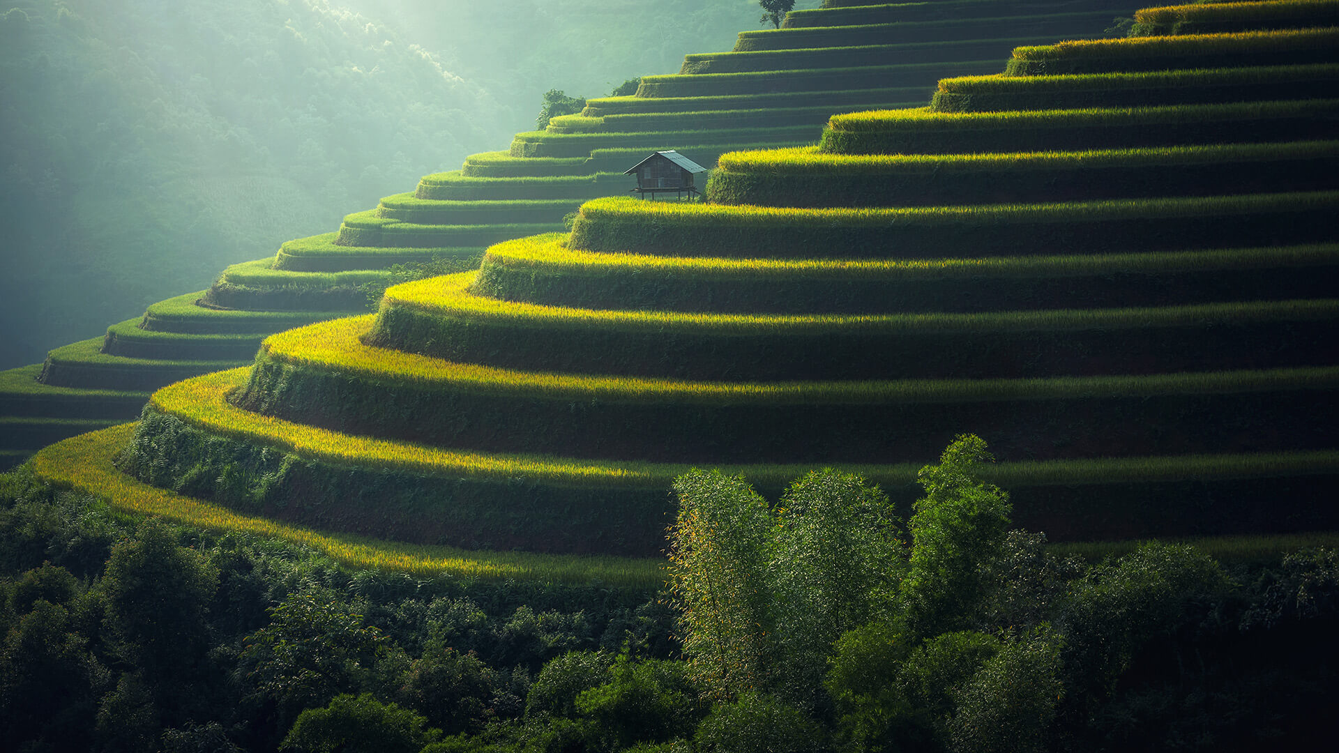 Blog Hero Boxed 3 Column